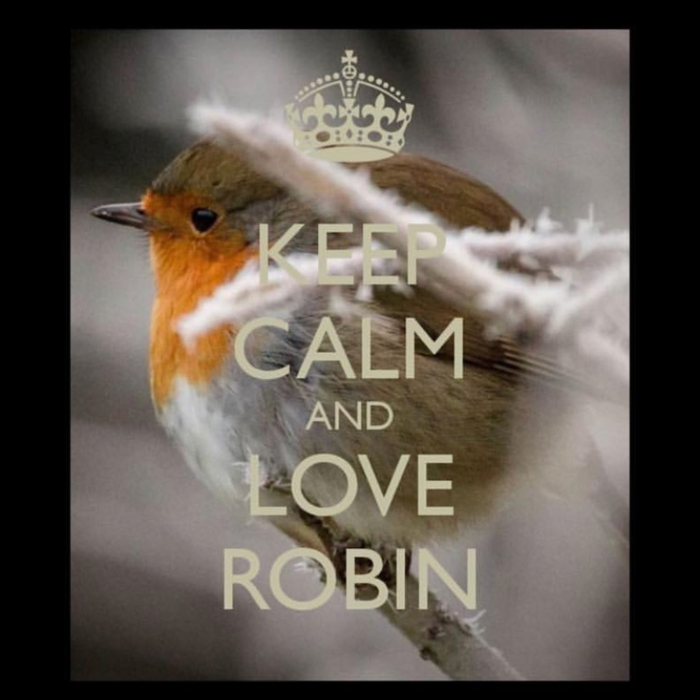 Meet your Posher, RoLo